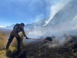 Polres Probolinggo Terjunkan Personel Bantu Padamkan Kebakaran Hutan di Gunung Bromo