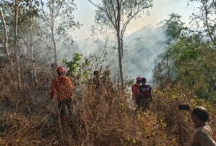 Tim Gabungan Polres Trenggalek Berhasil Evakuasi 4 Pendaki yang Terjebak Kebakaran di Gunung Orak arik